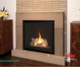 Fireplace Rochester Ny Elegant Beautiful How to Turn A Gas Fireplace Best Home Improvement