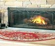Fireplace Rugs Fireproof Elegant Fire Resistant Rugs Walmart Co Retardant – Saltygrapefo