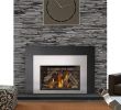 Fireplace Sacramento Unique Xir4 Gas Inserts