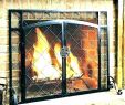 Fireplace Screen and Glass Doors Beautiful Wood Burning Fireplace Doors with Blower – Popcornapp