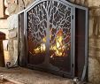Fireplace Screens with Glass Doors Elegant Shop Amazon