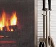 Fireplace Sets Beautiful Curved Fireplace Screen tools Products I Love