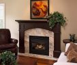 Fireplace Shoppe New Decoration Electric Fireplace with Mantel for Cheap Living
