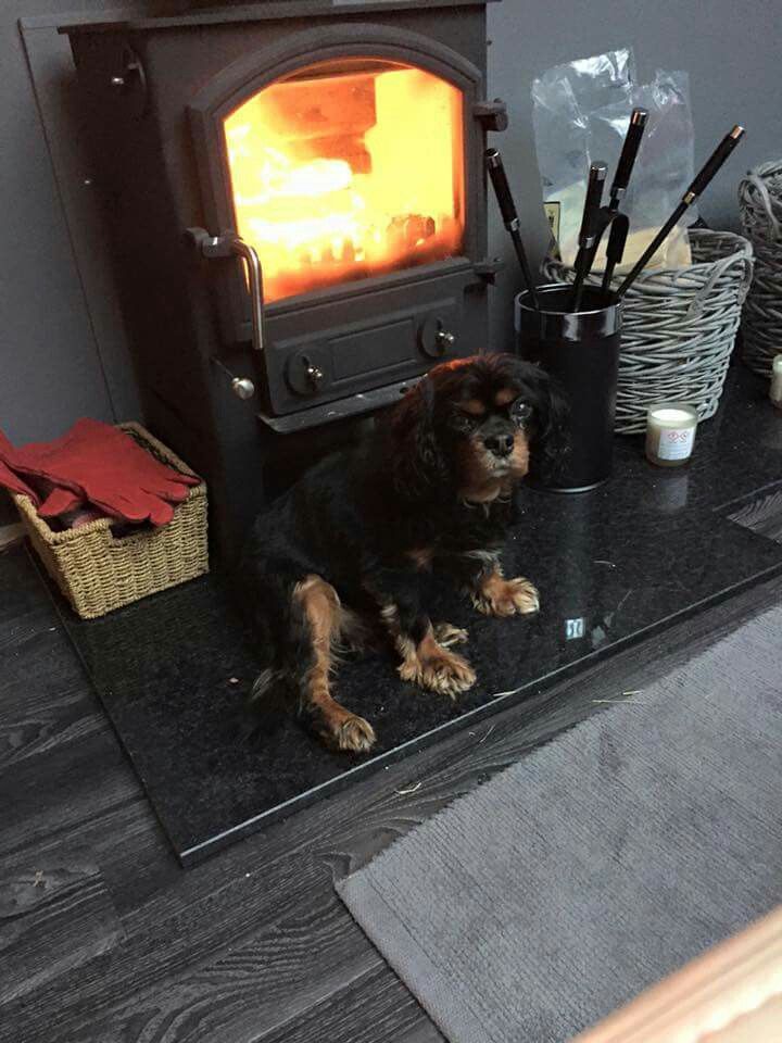 Warfield Stoves & Fires Ltd 0dc4698ceef b8d01fe848f6b389