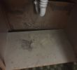 Fireplace soot Luxury Black soot On Fireplace Mantle Room Has Strong Smoke Smell
