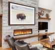 Fireplace Starter Lovely Curious Beast Graphic Print
