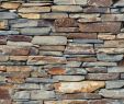 Fireplace Stone Veneer Panels Inspirational Pin by Sue Riffe On House Ideas