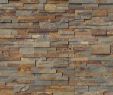 Fireplace Stone Veneer Panels Lovely Stacked Stone Gold Rush Hardscape