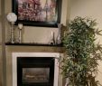 Fireplace Store Dallas Luxury Used and New Electric Fire Place In Carrolton Letgo