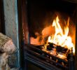 Fireplace Store Los Angeles Fresh Types Of Wood You Should Not Burn In Your Fireplace