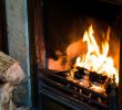 Fireplace Store Los Angeles Fresh Types Of Wood You Should Not Burn In Your Fireplace