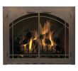 Fireplace Store Nj Luxury Carolina Arch Fireplace Glass Door Window Pane