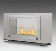 Fireplace Store Raleigh Nc Beautiful Montreal 2 Sided 41 In Ethanol Free Standing Fireplace In Stainless Steel