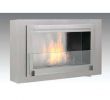 Fireplace Store Raleigh Nc Elegant Montreal 41 In Ethanol Wall Mounted Fireplace In Stainless Steel