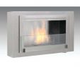 Fireplace Stores Columbus Ohio Awesome Montreal 41 In Ethanol Wall Mounted Fireplace In Stainless Steel