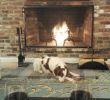 Fireplace Stores In Ma New Every Night Breeze Would Head for This Spot In Front Of the