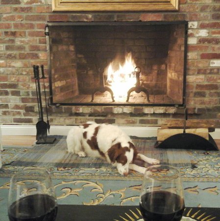 Every night Breeze would head for this spot in front of the every night breeze would