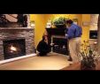 Fireplace Stores In northern Va Awesome Hearth & Home Technologies