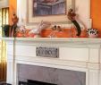 Fireplace Stores In northern Va Best Of L Auberge Provencale Bed and Breakfast Updated 2019 Prices