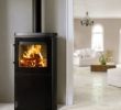 Fireplace Stores Mn Fresh Hase Sendai Pro Elegant 49 Wunderbar Hase Kamin Fotos
