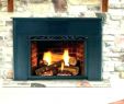 Fireplace Stove Insert Best Of Modern Wood Burning Fireplace Inserts Insert with Blower 3