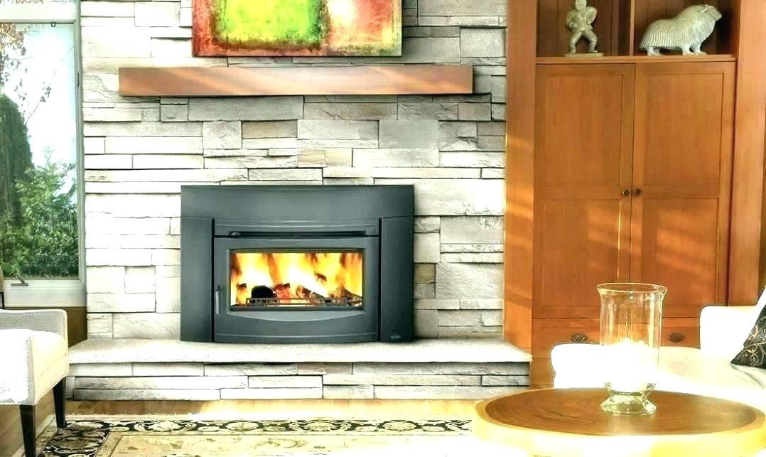 Fireplace Stove Insert Fresh Modern Wood Burning Fireplace Inserts Insert with Blower 3