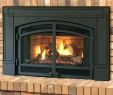Fireplace Stove Inserts Best Of Woodburning Stove Inserts – Globalproduction