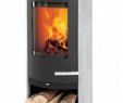 Fireplace Temperature Unique Kaminofen Termatech Tt20s Speckstein Schwarz 5 Kw