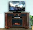 Fireplace Tv Stand Black Friday Beautiful S Fireplace Grate Heater Electric Costco – Muny