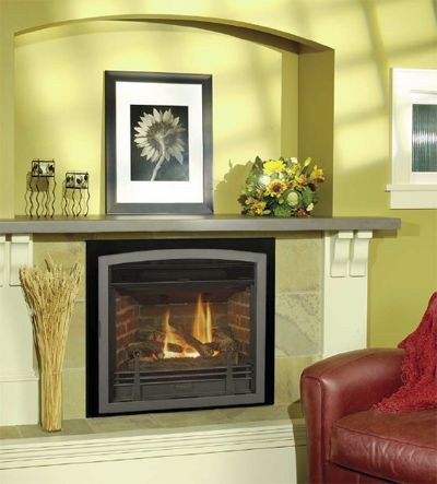 HORIZON Direct Vent Gas Fireplace af0d62fc6e99faf1bab2c174c5553aa1