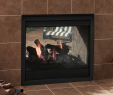 Fireplace Vents On the Side Lovely Majestic Twilight Ii Indoor Outdoor See Thru Gas Fireplace