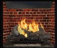 Fireplace Video Loop Awesome Kamin Herd Protector Kaminöfen Kaminöfen