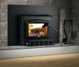 Fireplace Wood Inserts Best Of Woodburning Stove Inserts – Globalproduction