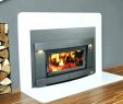 Fireplace Wood Inserts Lovely Modern Wood Burning Fireplace Inserts Stove Insert with