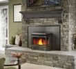 Fireplace Wood Stove Inserts Awesome Pellet Stove Insert Homes