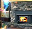 Fireplace Wood Stove Inserts Lovely Mobile Home Wood Burning Fireplace – Pagefusion