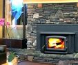 Fireplace Wood Stove Inserts Lovely Mobile Home Wood Burning Fireplace – Pagefusion
