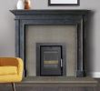 Free Standing Fireplace Screen Beautiful Cassette Stoves Wood Burning & Multi Fuel Dublin