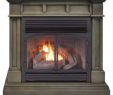 Free Standing Gas Fireplace Beautiful 45 In Full Size Ventless Dual Fuel Fireplace In Slate Gray with Remote Control