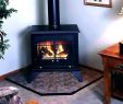 Free Standing Gas Fireplace Elegant Freestanding Wood Fireplace – Myolympusriviera