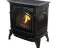 Free Standing Gas Fireplace Inspirational Freestanding Gas Stoves Freestanding Stoves the Home Depot