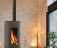 Free Standing Gas Fireplace Luxury Wood Burning Free Standing Fireplace Stofocus by Focus