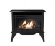 Free Standing Gas Fireplace Stove Elegant Freestanding Gas Stoves Freestanding Stoves the Home Depot