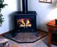 Free Standing Gas Fireplace Stove Lovely Freestanding Wood Fireplace – Myolympusriviera