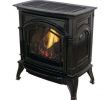 Free Standing Gas Fireplace Stove Luxury Freestanding Gas Stoves Freestanding Stoves the Home Depot