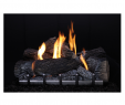 Free Standing Natural Gas Fireplace Lovely Empire Carol Rose Coastal Premium 42 Vent Free Outdoor Gas Firebox Op42fb2mf