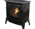 Free Standing Propane Fireplace Best Of Freestanding Gas Stoves Freestanding Stoves the Home Depot