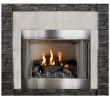 Free Standing Propane Fireplace Inspirational Empire Carol Rose Coastal Premium 42 Vent Free Outdoor Gas Firebox Op42fb2mf