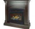 Free Standing Vent Free Gas Fireplace Unique 36 In 20 000 Btu Pact Convertible Ventless Natural Gas Fireplace In tobacco