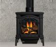 Free Standing Vented Gas Fireplace New Basic Black Gds25 Gas Stove Stove In 2019